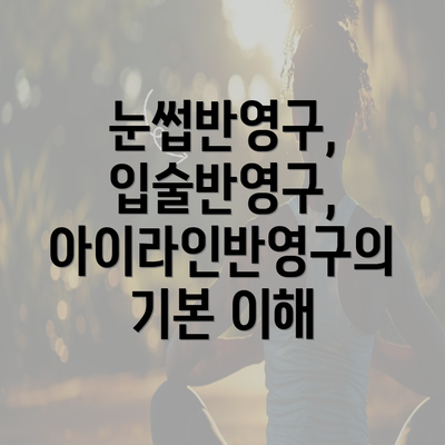 눈썹반영구, 입술반영구, 아이라인반영구의 기본 이해