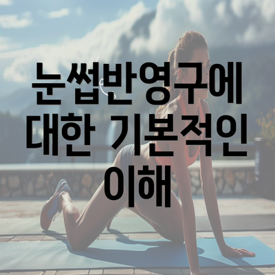 눈썹반영구에 대한 기본적인 이해