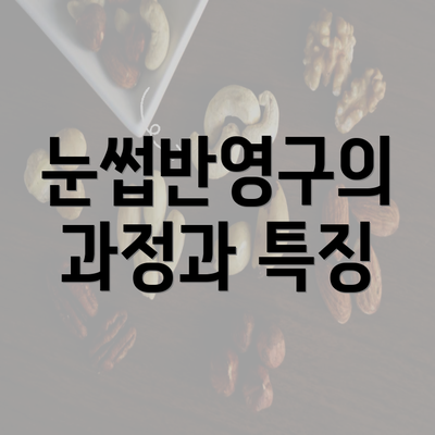 눈썹반영구의 과정과 특징