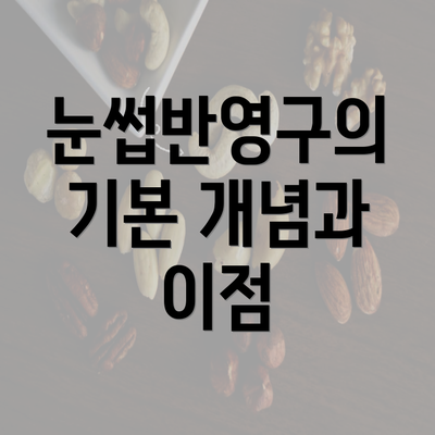 눈썹반영구의 기본 개념과 이점