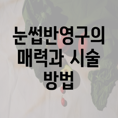 눈썹반영구의 매력과 시술 방법