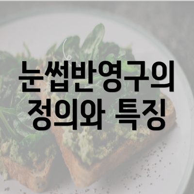 눈썹반영구의 정의와 특징