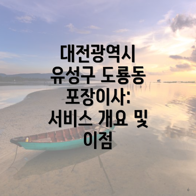 대전광역시 유성구 도룡동 포장이사: 서비스 개요 및 이점