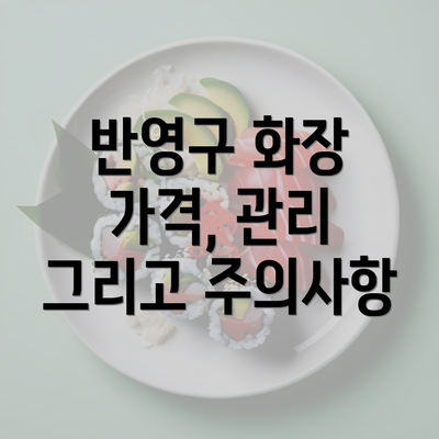반영구 화장 가격, 관리 그리고 주의사항