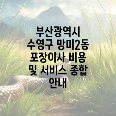 부산광역시 수영구 망미2동 포장이사 비용 및 서비스 종합 안내