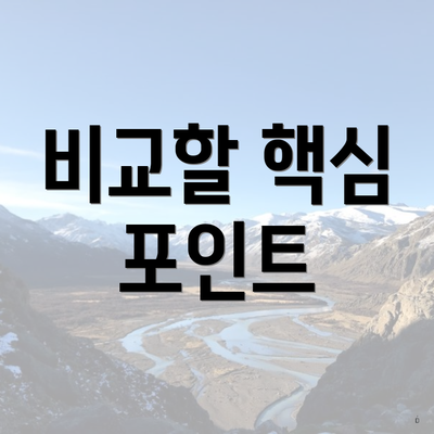 비교할 핵심 포인트