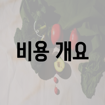 비용 개요