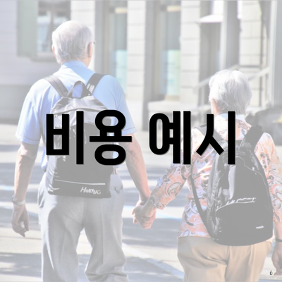 비용 예시