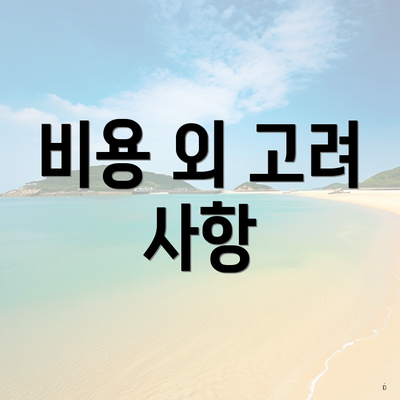 비용 외 고려 사항