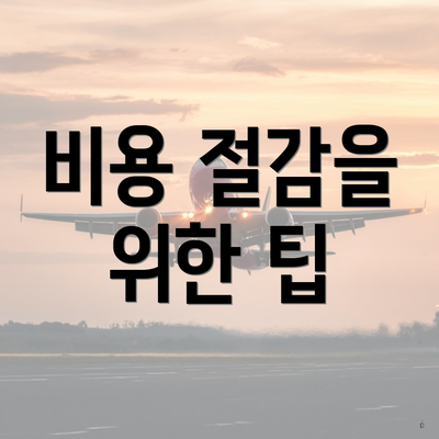 비용 절감을 위한 팁