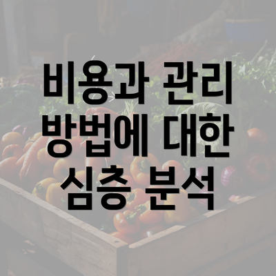 비용과 관리 방법에 대한 심층 분석