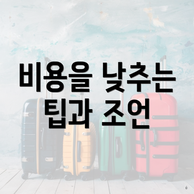 비용을 낮추는 팁과 조언