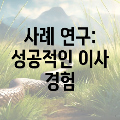 사례 연구: 성공적인 이사 경험