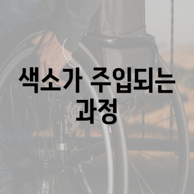 색소가 주입되는 과정