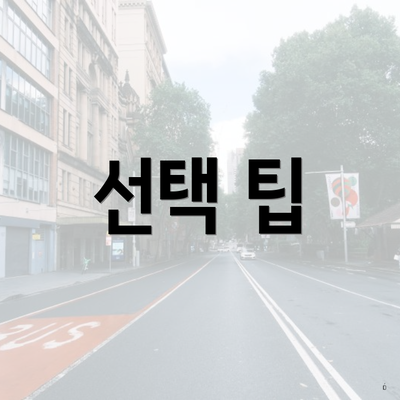 선택 팁