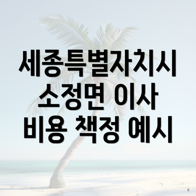 세종특별자치시 소정면 이사 비용 책정 예시