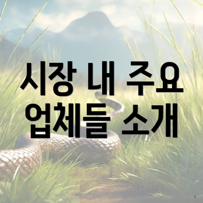 시장 내 주요 업체들 소개