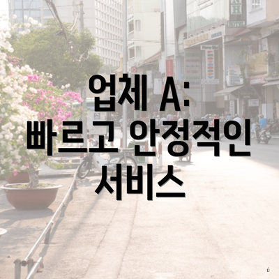 업체 A: 빠르고 안정적인 서비스