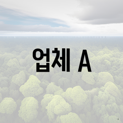 업체 A