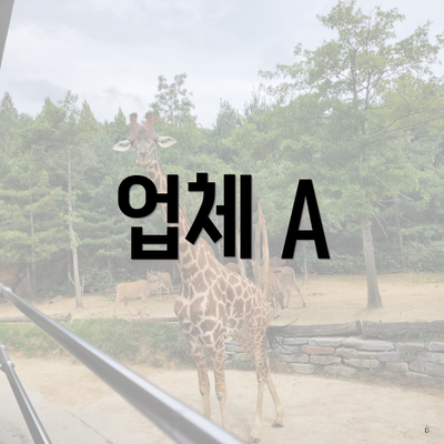 업체 A