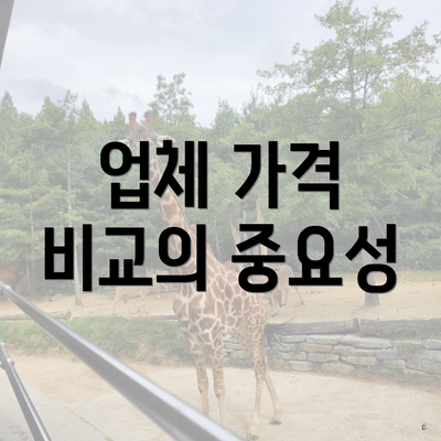 업체 가격 비교의 중요성