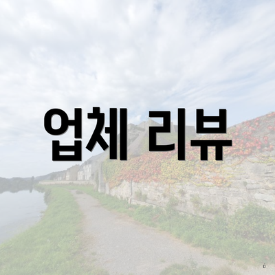 업체 리뷰