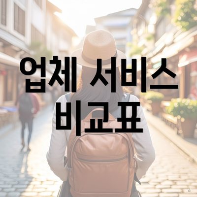 업체 서비스 비교표