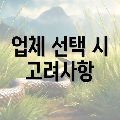 업체 선택 시 고려사항