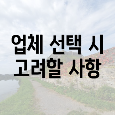 업체 선택 시 고려할 사항