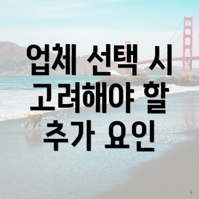 업체 선택 시 고려해야 할 추가 요인