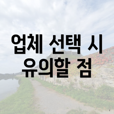 업체 선택 시 유의할 점