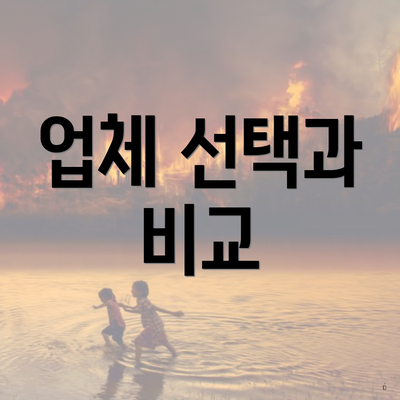 업체 선택과 비교