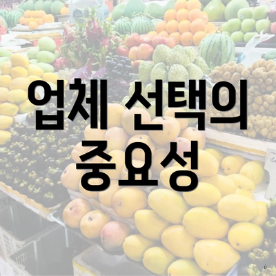 업체 선택의 중요성