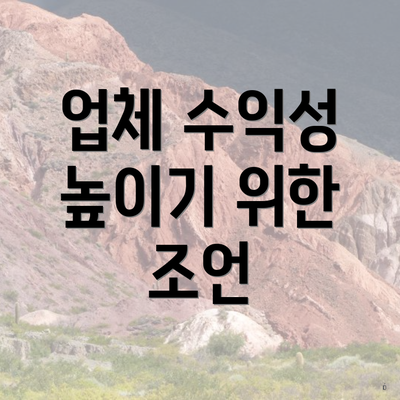 업체 수익성 높이기 위한 조언
