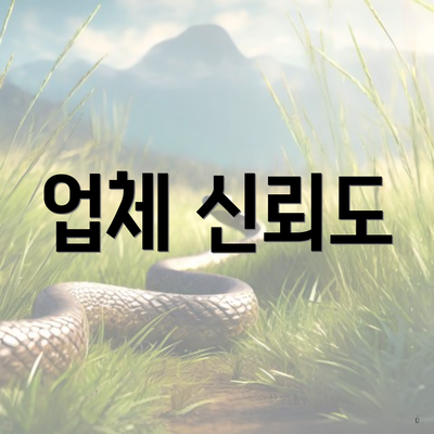 업체 신뢰도