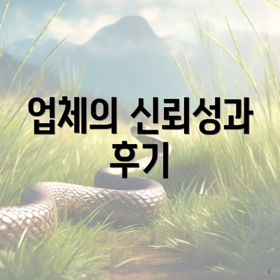 업체의 신뢰성과 후기