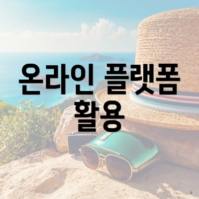 온라인 플랫폼 활용