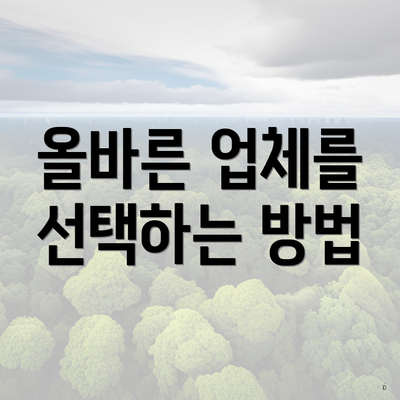 올바른 업체를 선택하는 방법