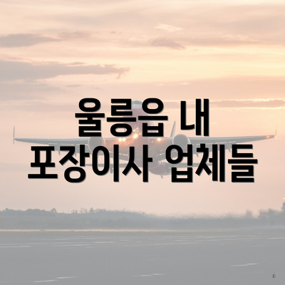 울릉읍 내 포장이사 업체들