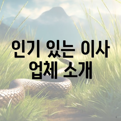 인기 있는 이사 업체 소개