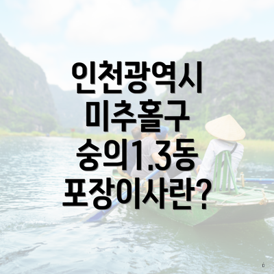 인천광역시 미추홀구 숭의1.3동 포장이사란?