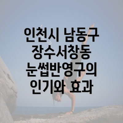 인천시 남동구 장수서창동 눈썹반영구의 인기와 효과