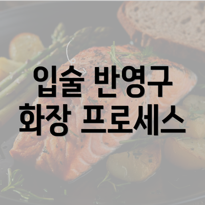 입술 반영구 화장 프로세스