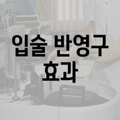 입술 반영구 효과