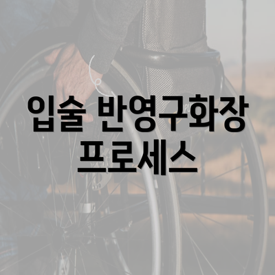 입술 반영구화장 프로세스