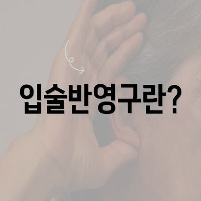 입술반영구란?