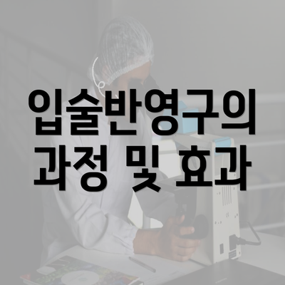 입술반영구의 과정 및 효과