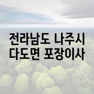 전라남도 나주시 다도면 포장이사