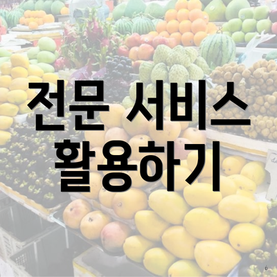전문 서비스 활용하기