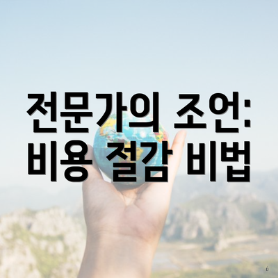 전문가의 조언: 비용 절감 비법